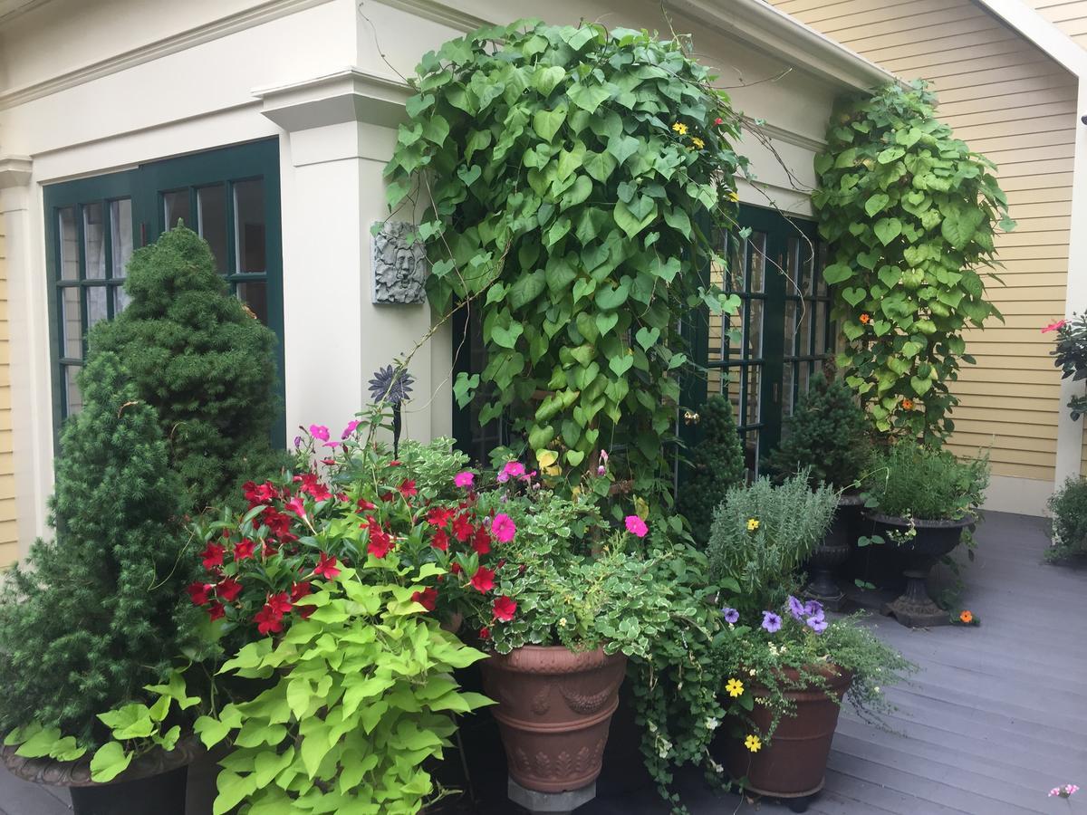 Mary Prentiss Inn Cambridge Exterior photo